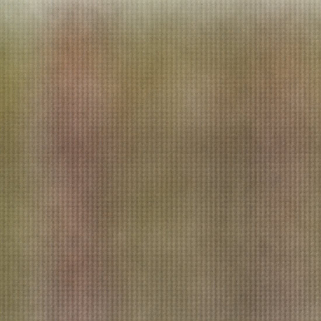 Stock FLUX.1-dev asked for 4096 by 4096 in one pass: a featureless field.